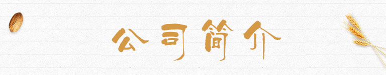 公司简介